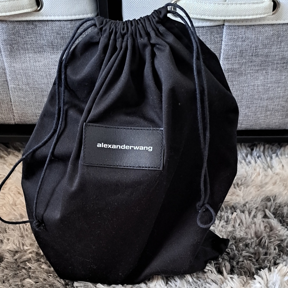 EUC ALEXANDER WANG MIMI BAG